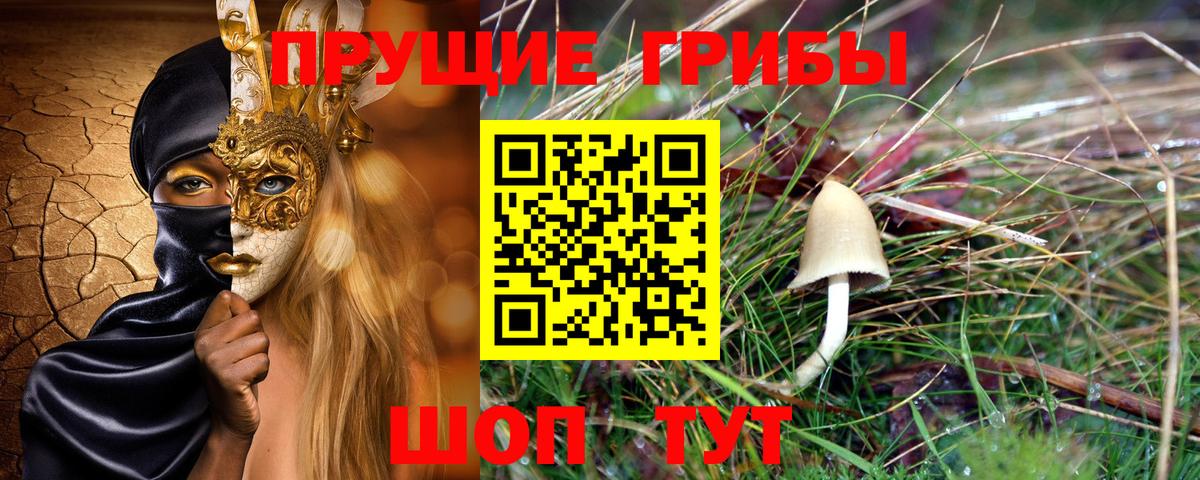 Псилоцибиновые грибы MAGIC MUSHROOMS  Вход с VPN  Ржев 